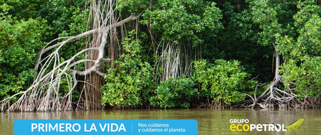 Terminó la jornada de recolección