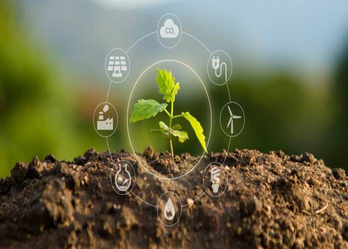 La relevancia de la inversión privada para lograr los objetivos de transición energética