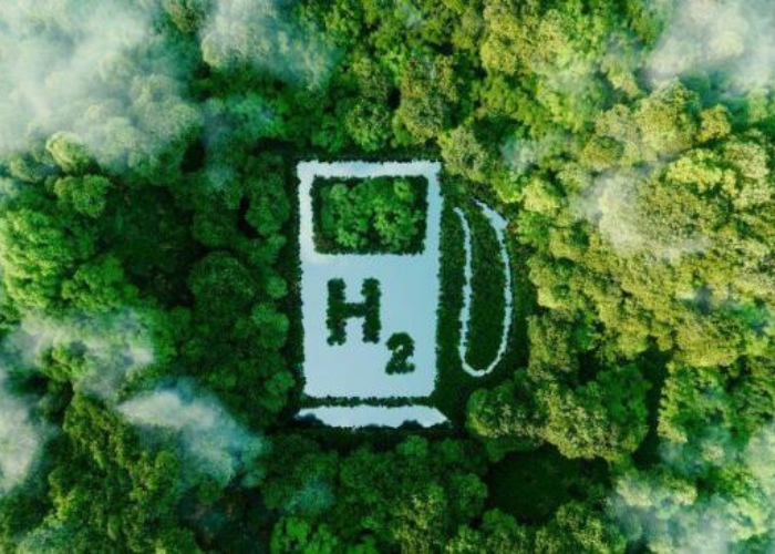 Gobierno hará subasta para proyectos de energía eólica en el Mar Caribe