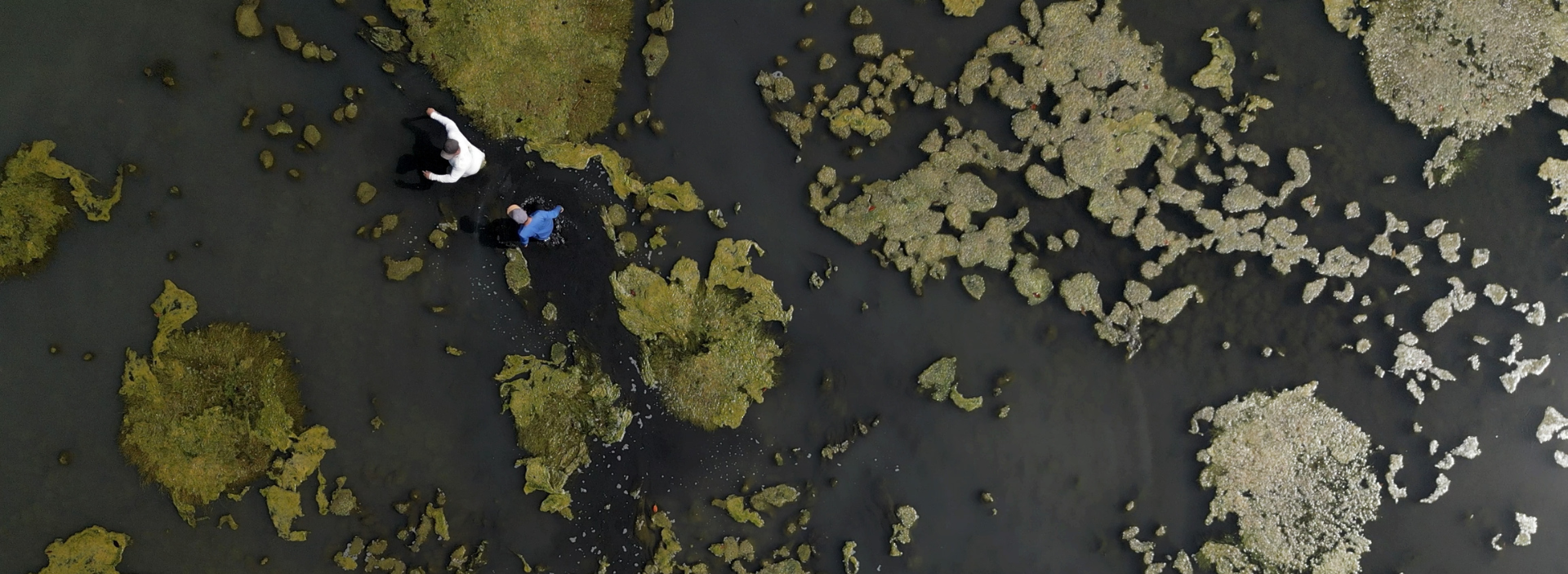 Trabajo comunitario por la conservación del manglar en la bahía de Cispatá, Córdoba