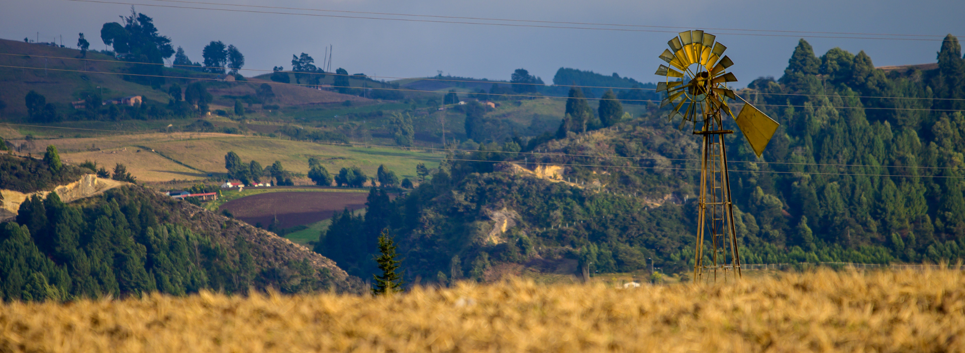 Categoría<br /> Transición Energética y Descarbonización