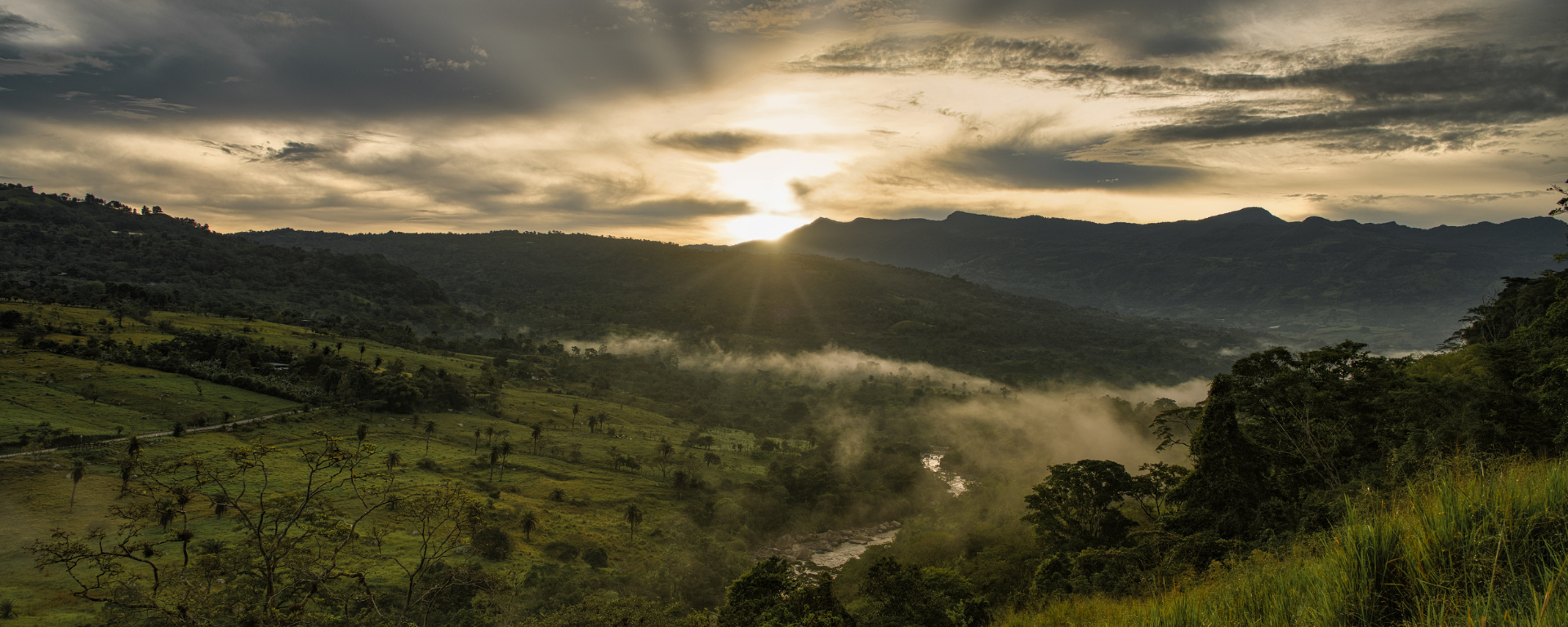 Ocensa, comprometida con la biodiversidad de los bosques
