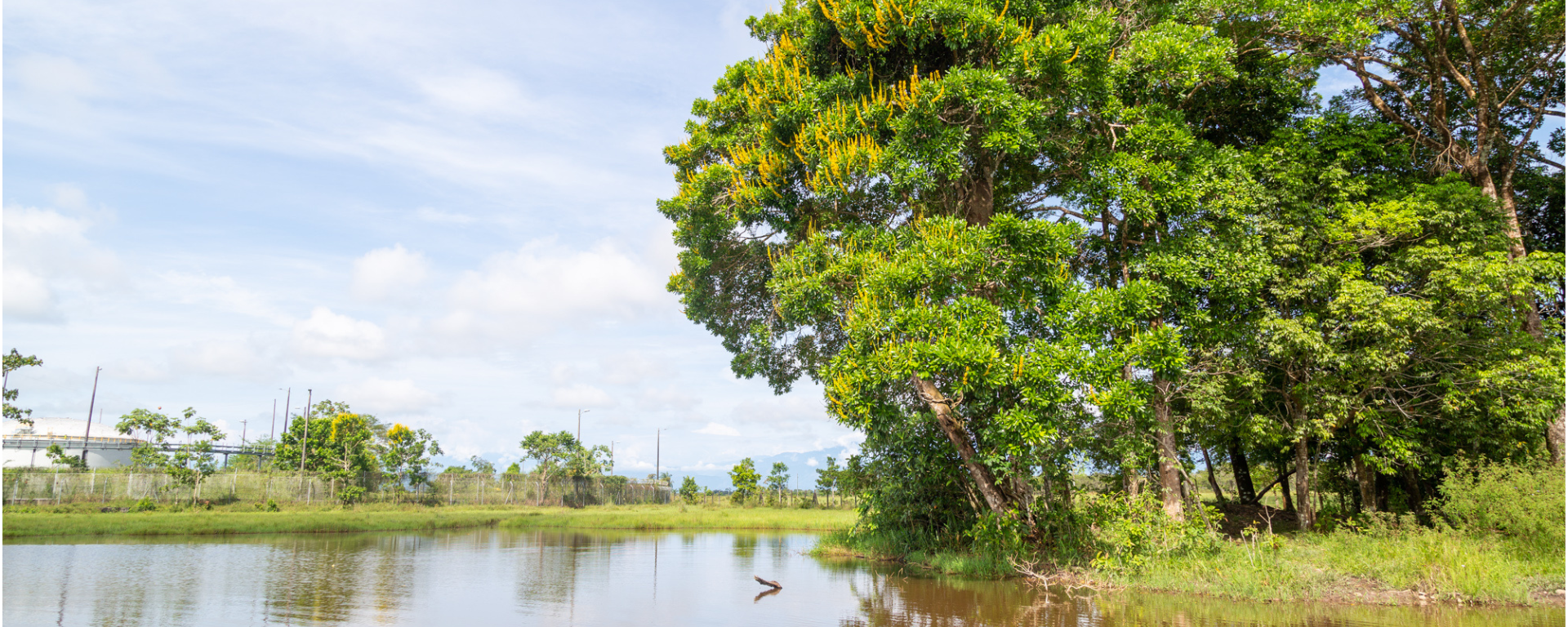 Hay 2.500 especies de fauna y flora en  las 15 ecoreservas de Grupo Ecopetrol