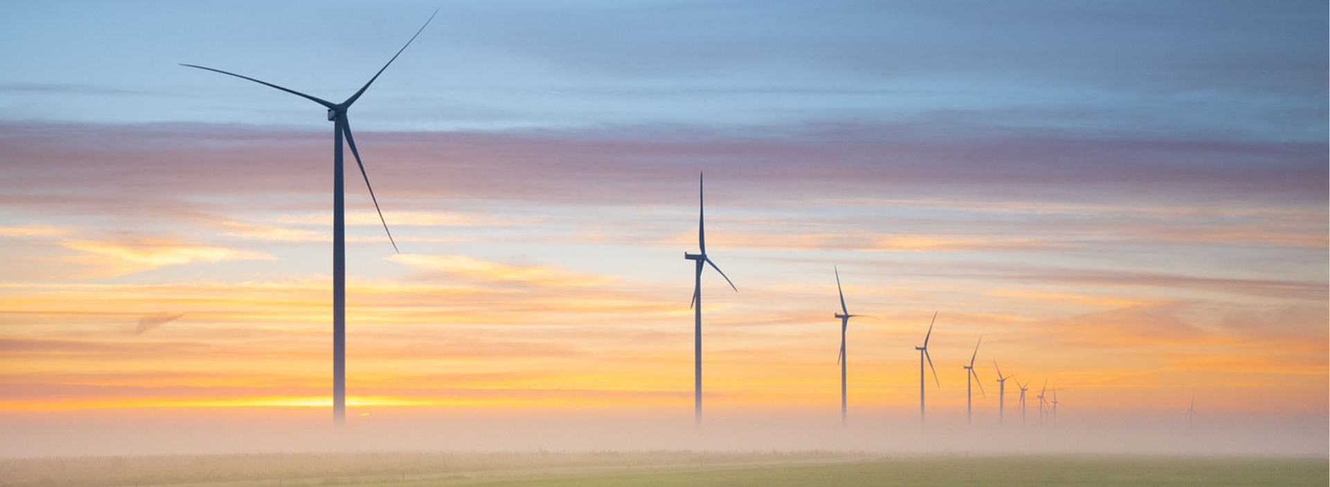 Ecopetrol buscaría socios para participar en subasta de energía eólica en Colombia