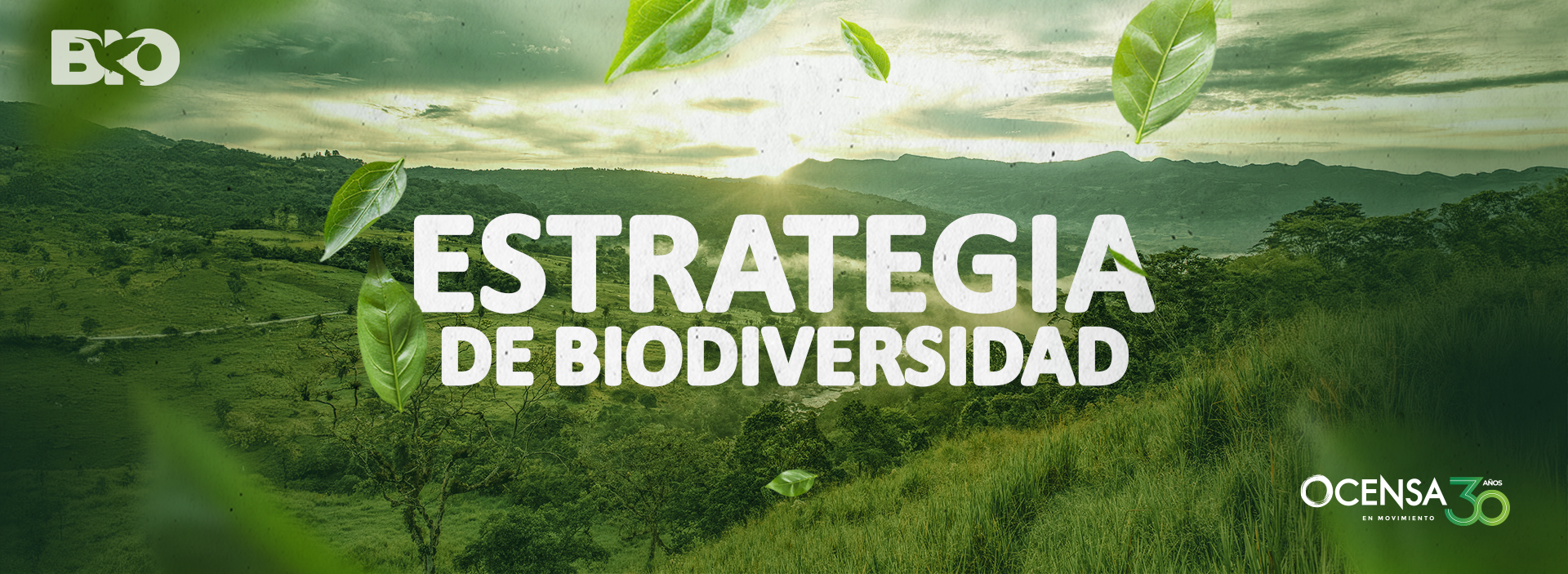 Del páramo al manglar: conectados con nuestra Biodiversidad