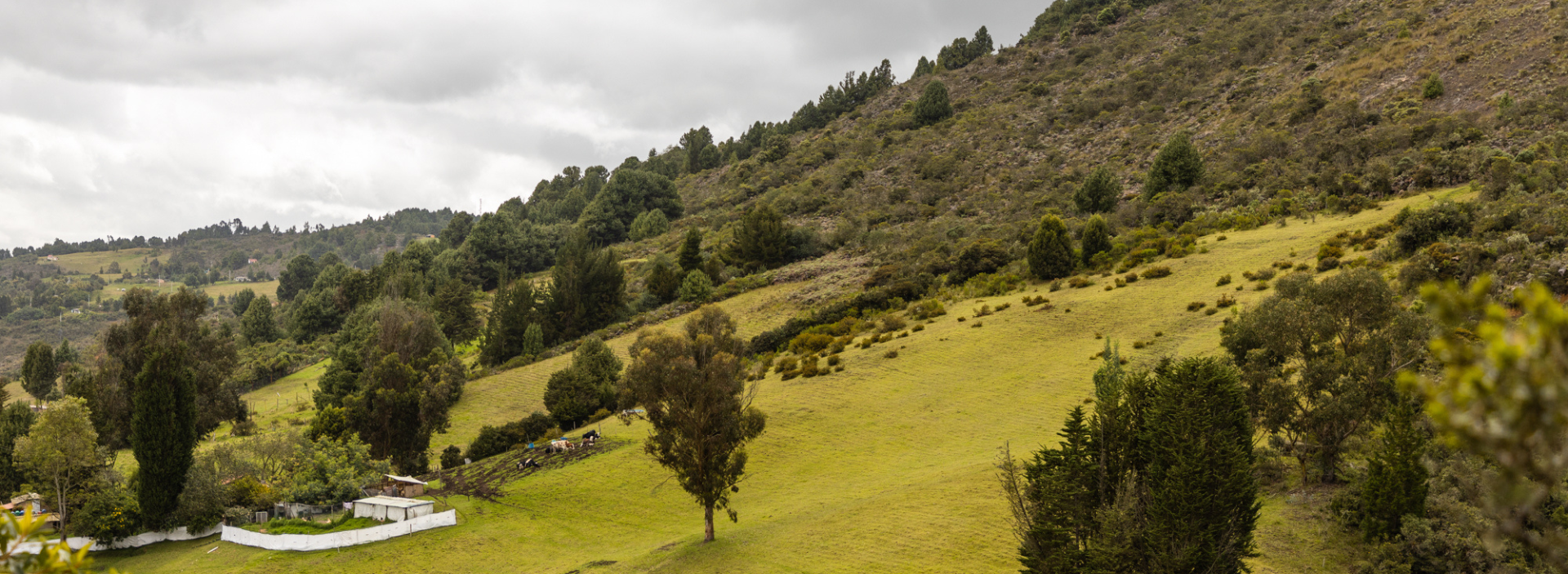 Ecopetrol firmó memorando de entendimiento con Petronor para acelerar la Transición Energética