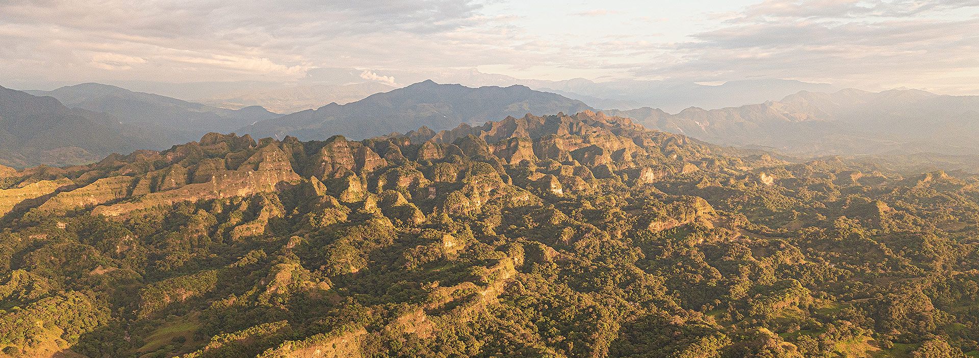 Geopark y Hocol confirman hallazgos y anuncian avances en la exploración y desarrollo de bloques en la cuenca Llanos.
