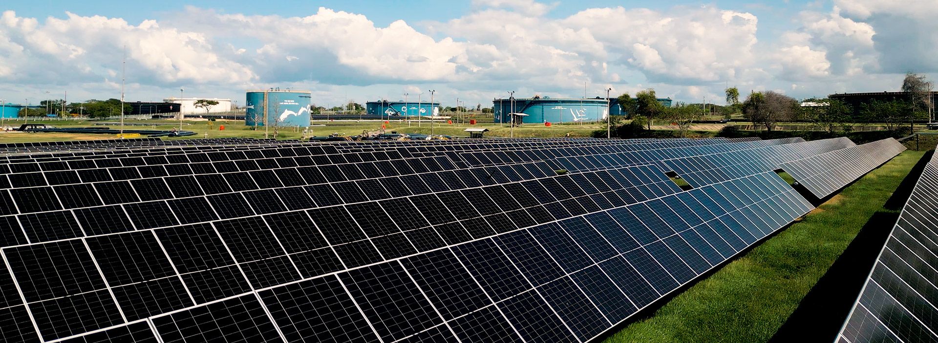 ‘Queremos que Colombia lidere la transición energética en América’: Business Sweden