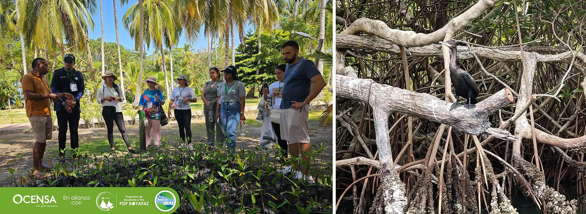 Iniciativas inspiradoras para la conservación de ciénagas y archipiélagos en Sucre