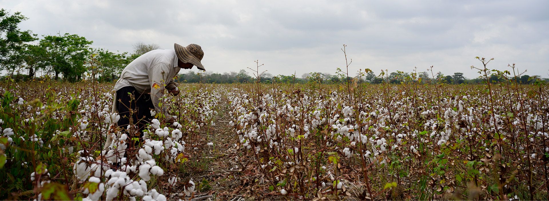 En marcha Comunidades en Movimiento el portafolio socio-ambiental de Ocensa