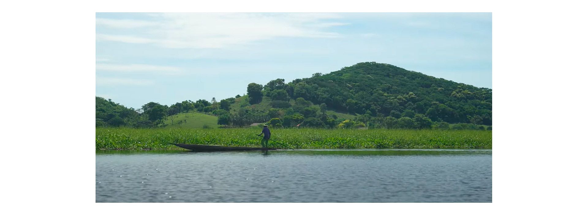 Ecosistemas priorizados en nuestra estrategia de biodiversidad