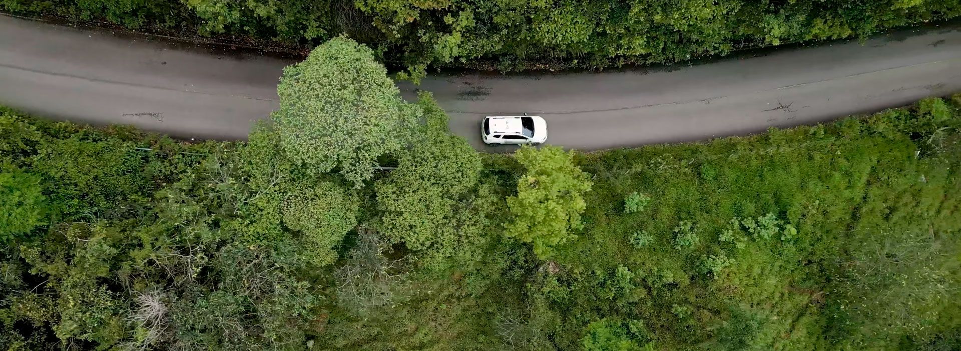 M&C Transporte hace parte de la Red de Desarrollo Empresarial de Ocensa