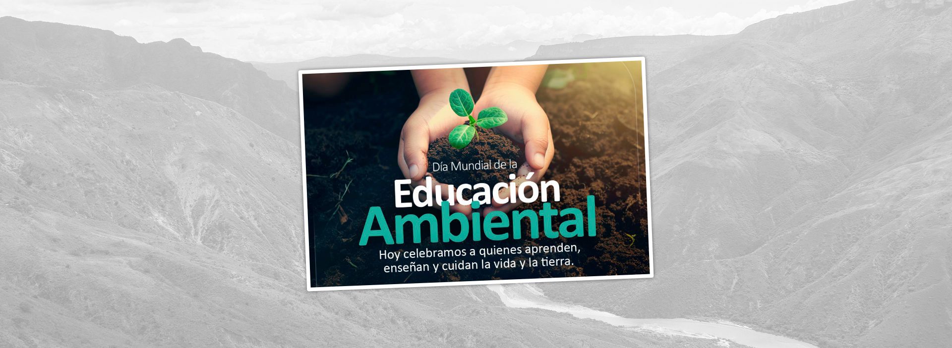 Red Vive Tu Prae: promoviendo la conciencia ecológica