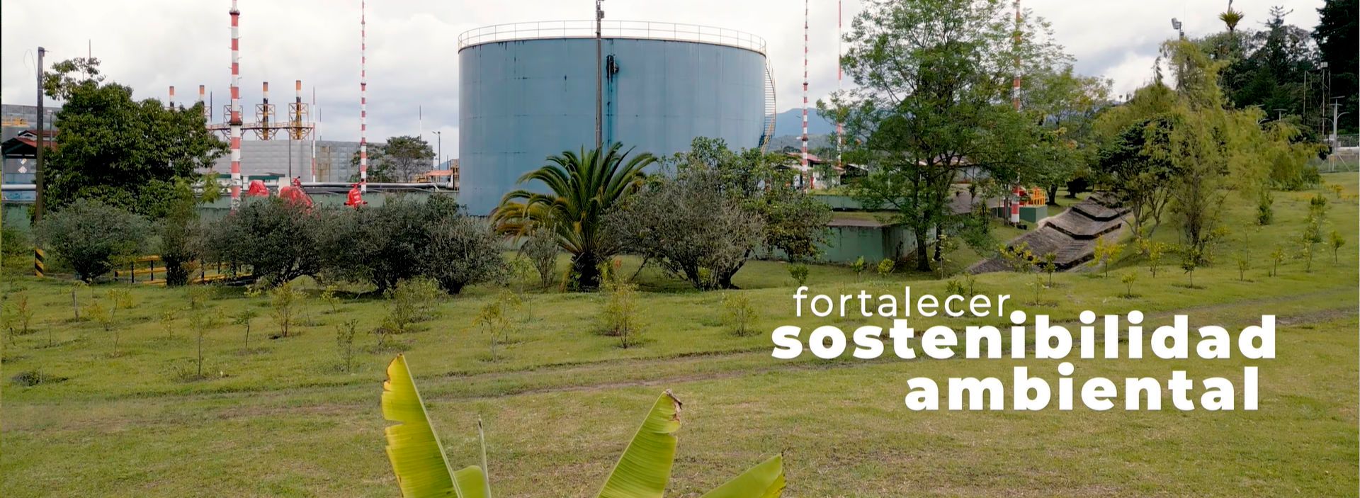 JASMAR hace parte de la Red de Desarrollo Empresarial de Ocensa