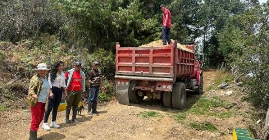 En cinco departamentos de la zona de influencia de Ocensa, las iniciativas comunitarias son una realidad