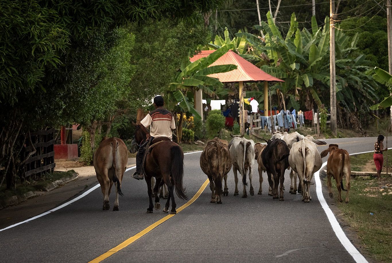 Documentos complementarios