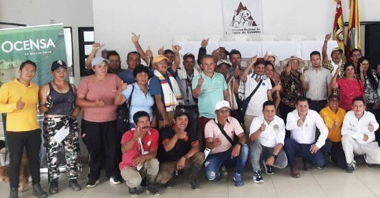 Alianza estratégica en Florián impulsa la renovación cafetera