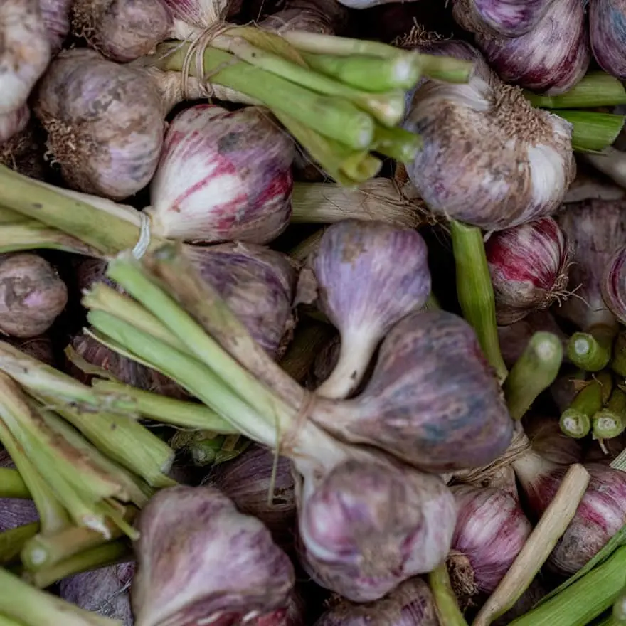 Nuevos mercados para proyectos productivos locales