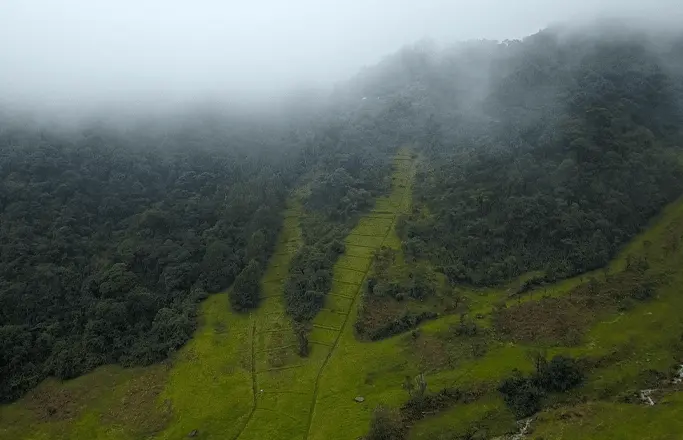 Alto de las Flores: la vida a 2.979 m.s.n.m.