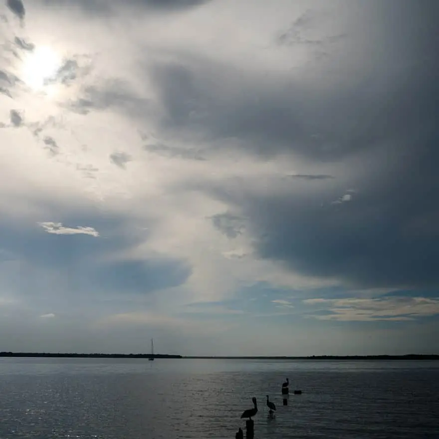 Buena Vecindad: seguridad con enfoque social