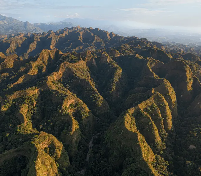 Ecosistemas: de las calmadas sabanas al quebrado piedemonte llanero