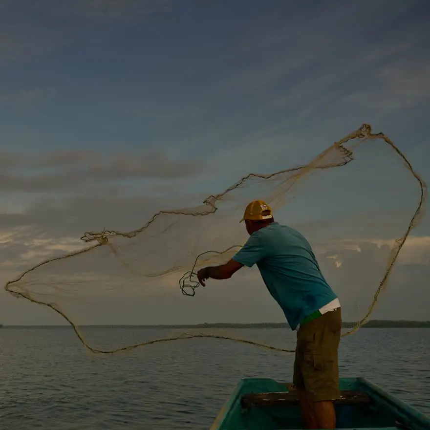 Buena Vecindad: seguridad con enfoque social