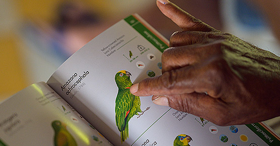 Medioambiente y comunidad beneficiados con el convenio Ocensa y Fundación Omacha en el golfo de Morrosquillo