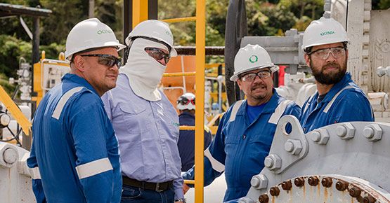 Participa en los Premios Diente de León