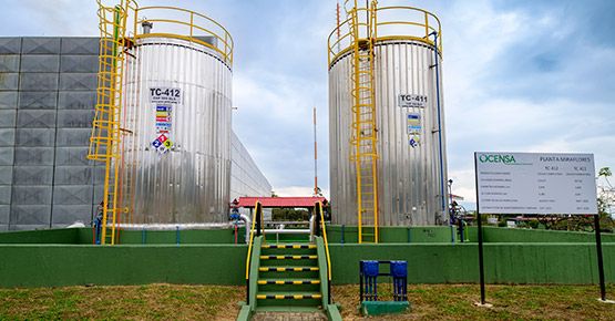 En Ocensa, sostenibilidad es sinónimo de equilibrio