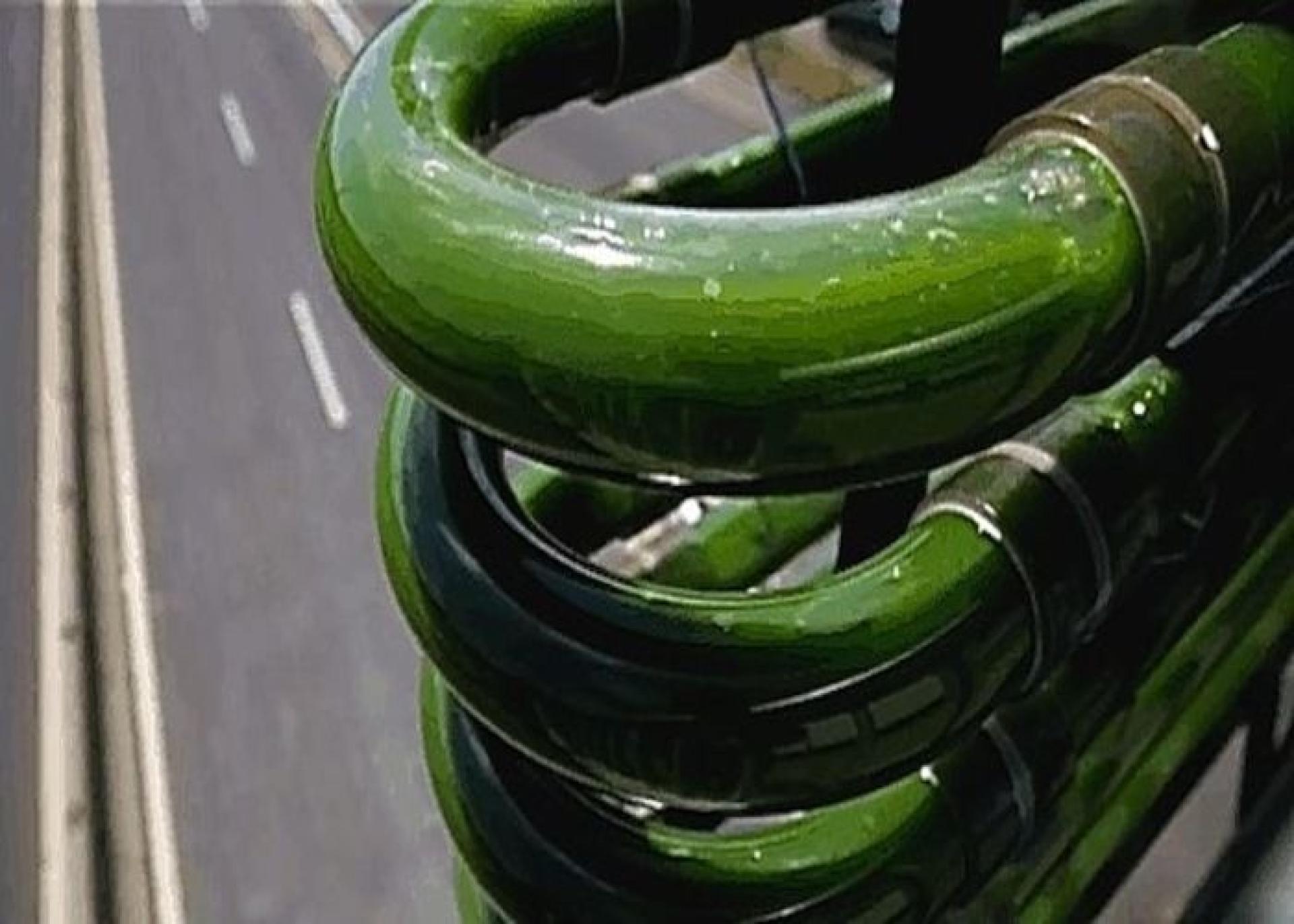 Petróleo Verde