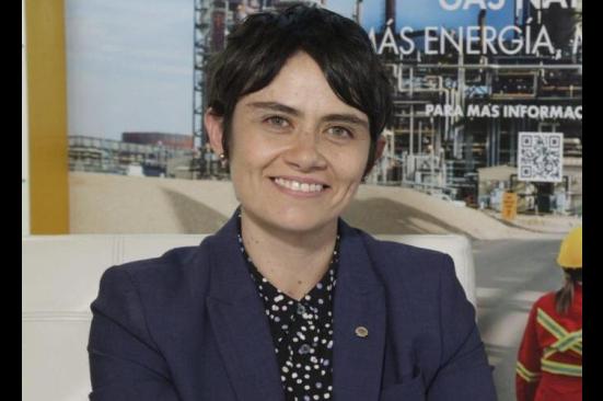 'En 2023 se conocería el potencial de reservas de gas offshore': Shell