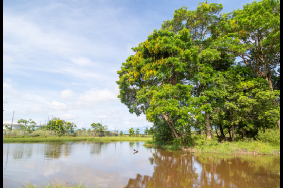 Hay 2.500 especies de fauna y flora en  las 15 ecoreservas de Grupo Ecopetrol