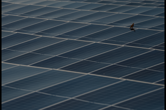 Foro Económico Mundial resalta la labor de Colombia hacia una transición energética justa