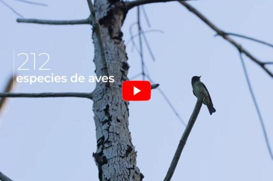 Ocensa: identificando especies desde el Terminal Marítimo de Coveñas