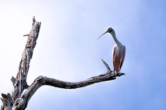 Tenemos una estrategia de biodiversidad con beneficios concretos