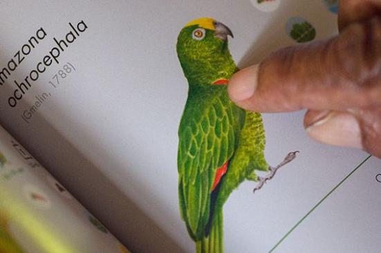 Medioambiente y comunidad beneficiados con el convenio Ocensa y Fundación Omacha en el golfo de Morrosquillo