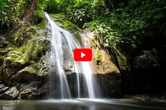 Cuidado del medioambiente: Nos cuidamos y cuidamos el planeta